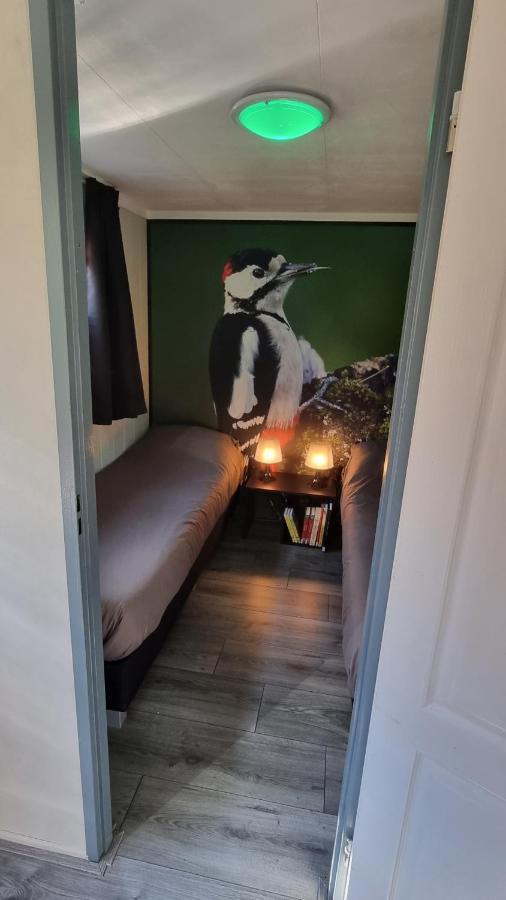 De Bonte Specht Hotel Hattemerbroek Bagian luar foto